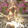 Phoenix Knight
